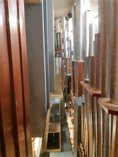 Blick in die Orgel